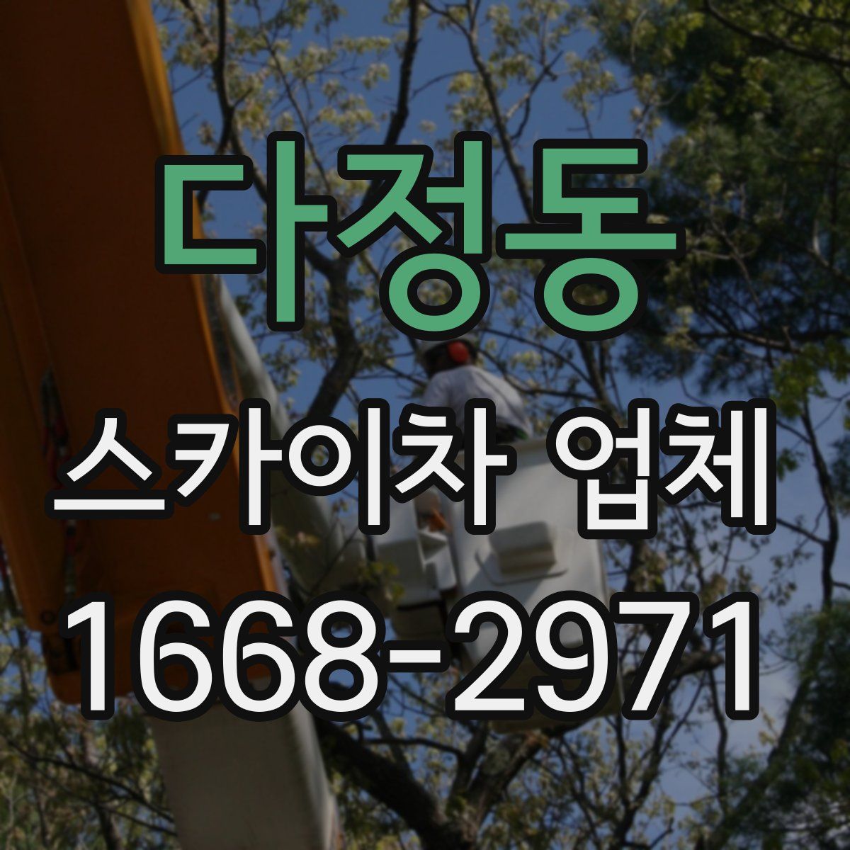 다정동 스카이차 업체