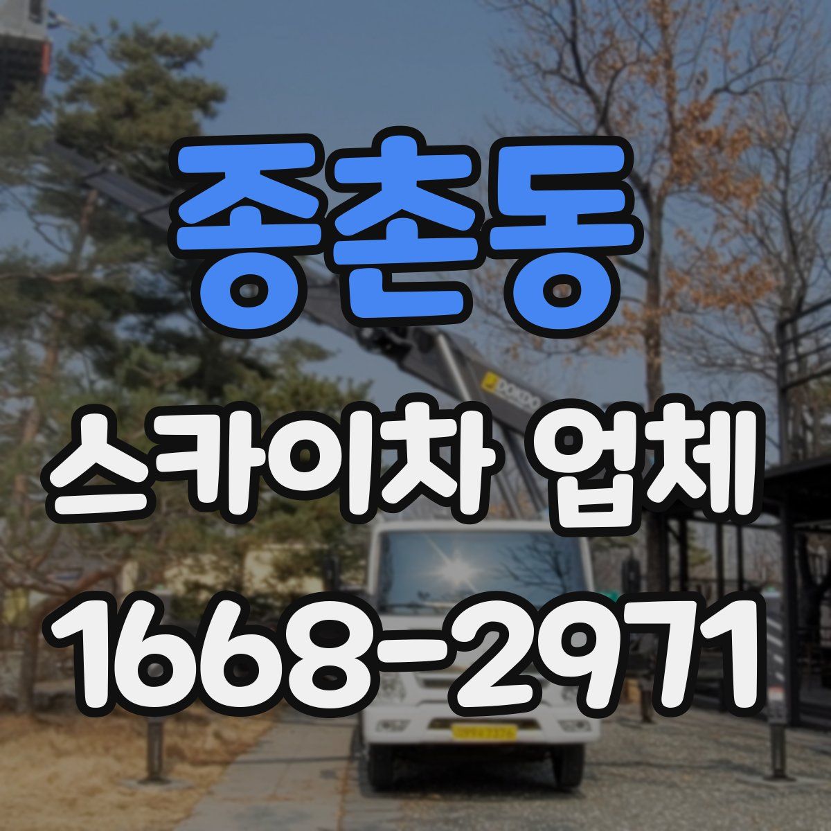 종촌동 스카이차 업체
