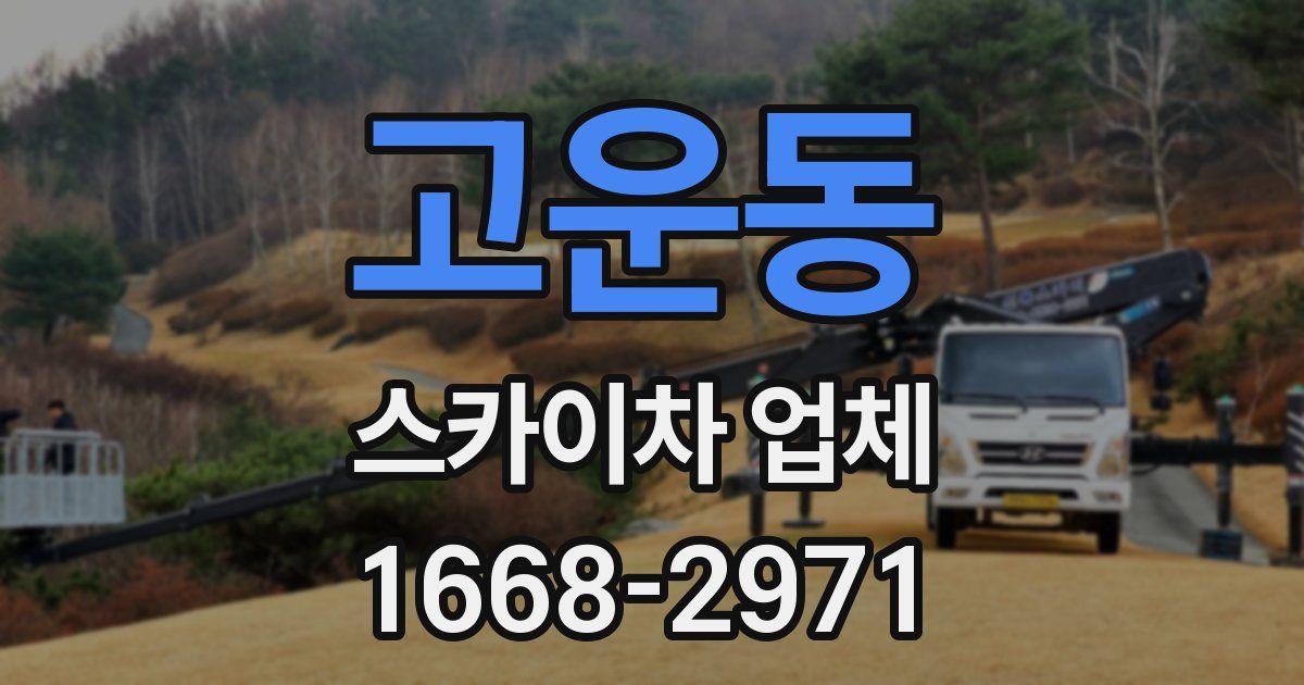 고운동 스카이차 업체