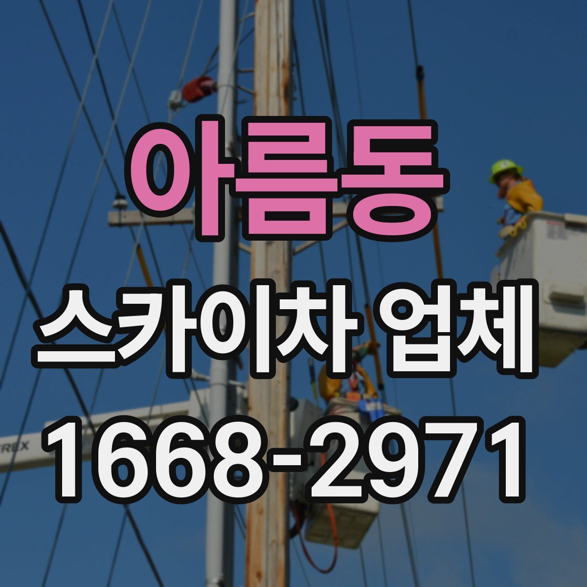아름동 스카이차 업체