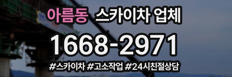 아름동 스카이차 업체