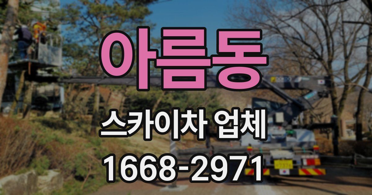 아름동 스카이차 업체