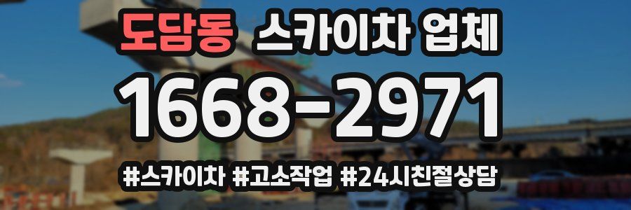 도담동 스카이차 업체