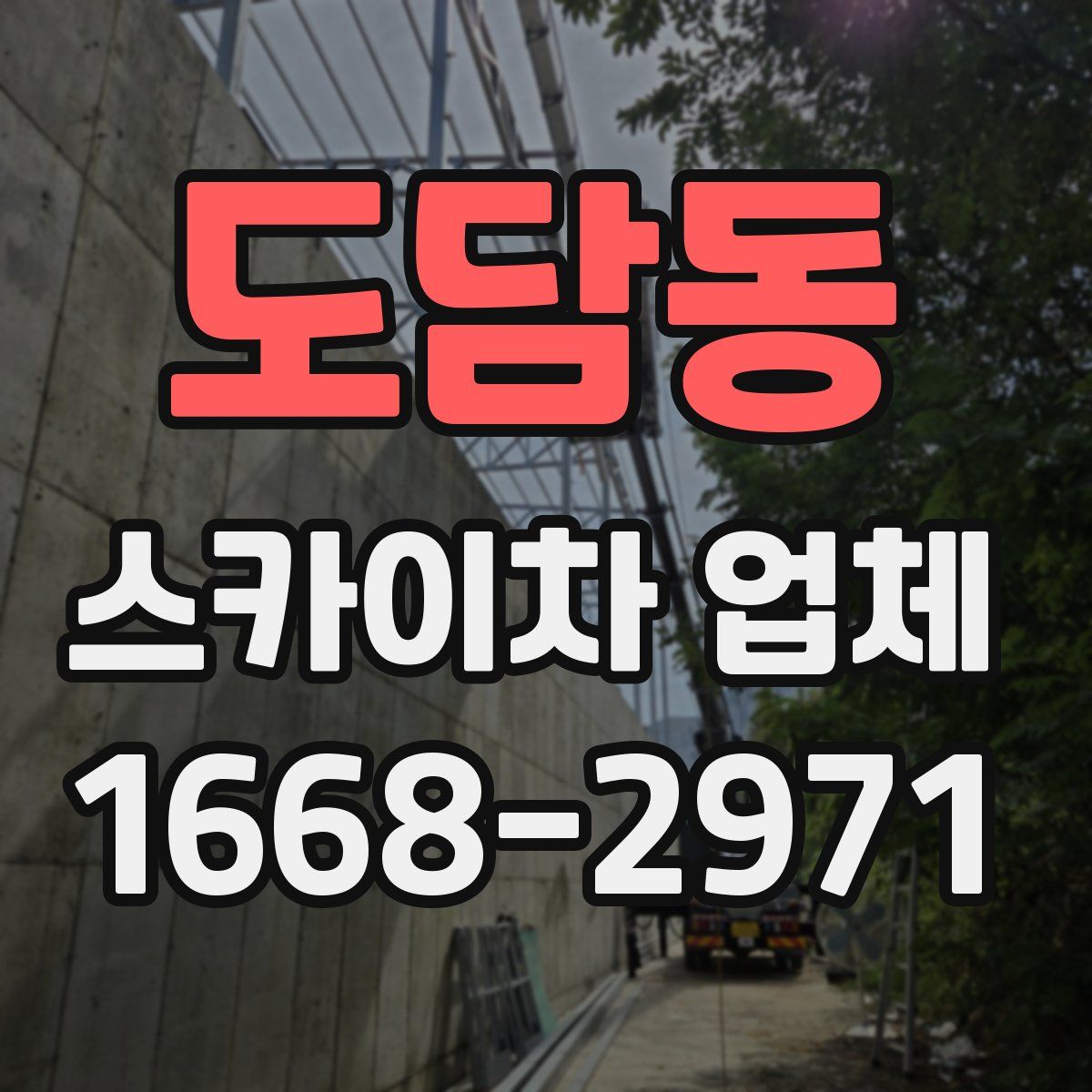 도담동 스카이차 업체