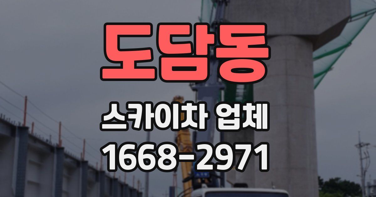 도담동 스카이차 업체