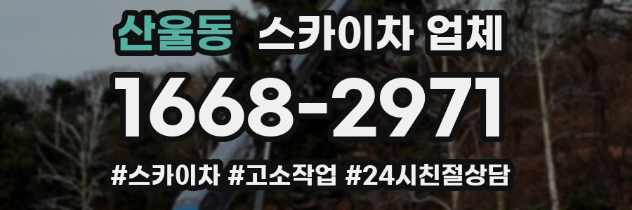산울동 스카이차 업체