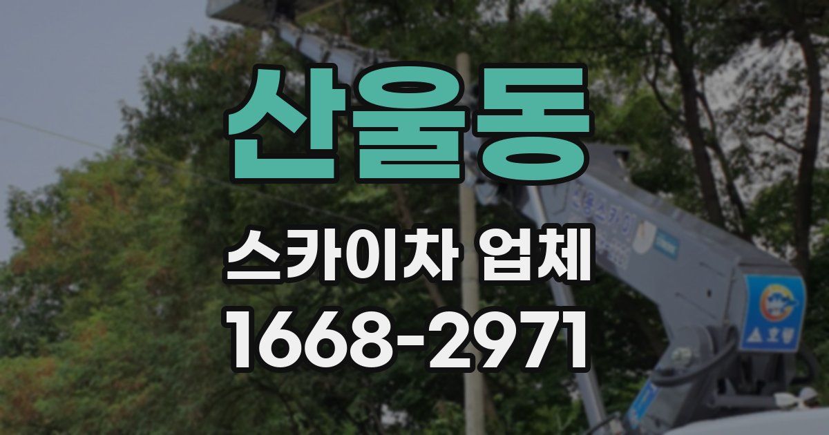 산울동 스카이차 업체