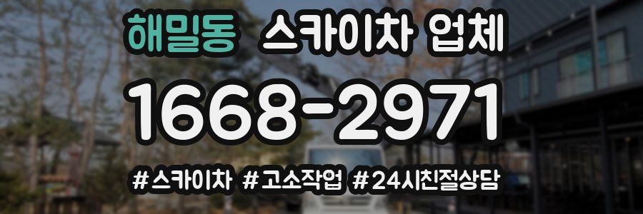 해밀동 스카이차 업체