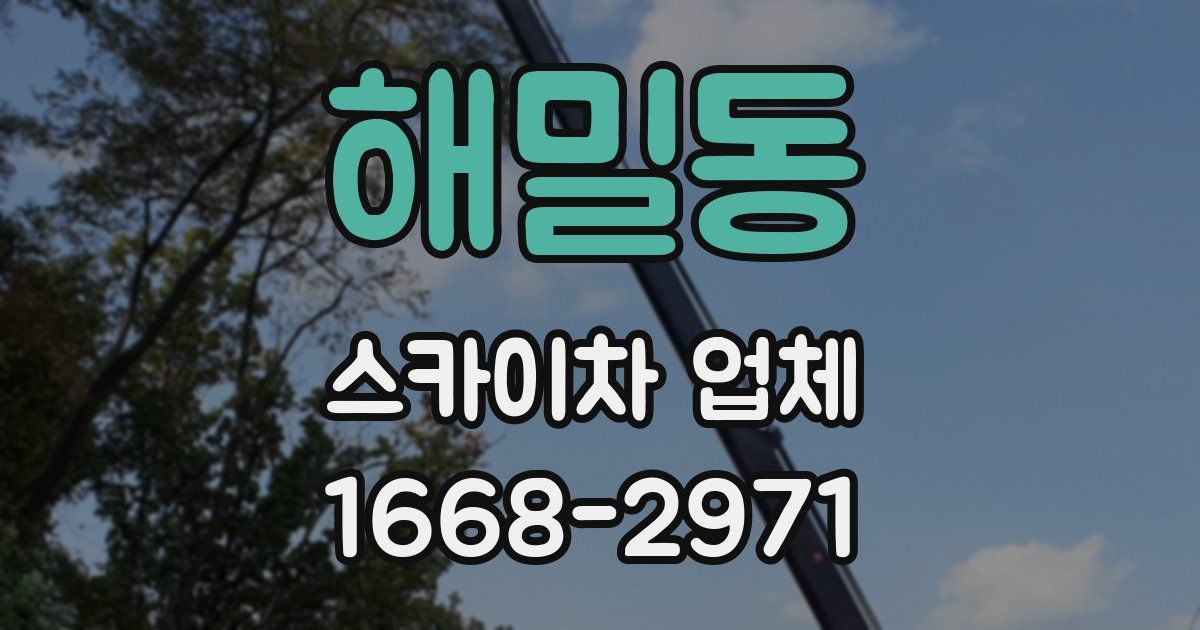 해밀동 스카이차 업체