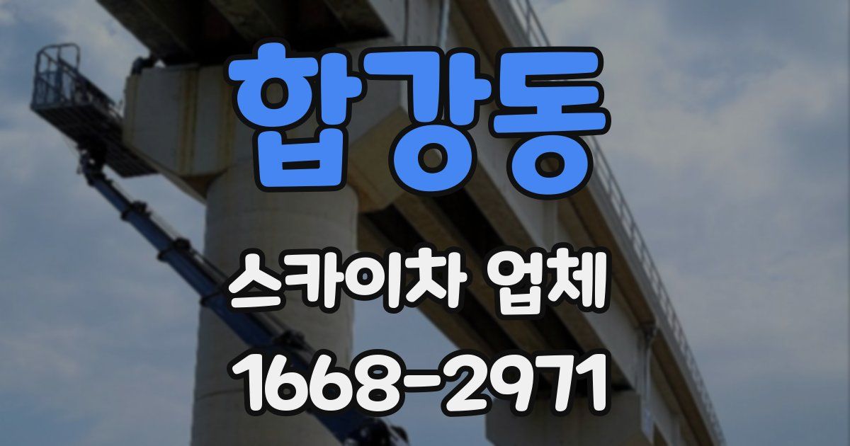 합강동 스카이차 업체