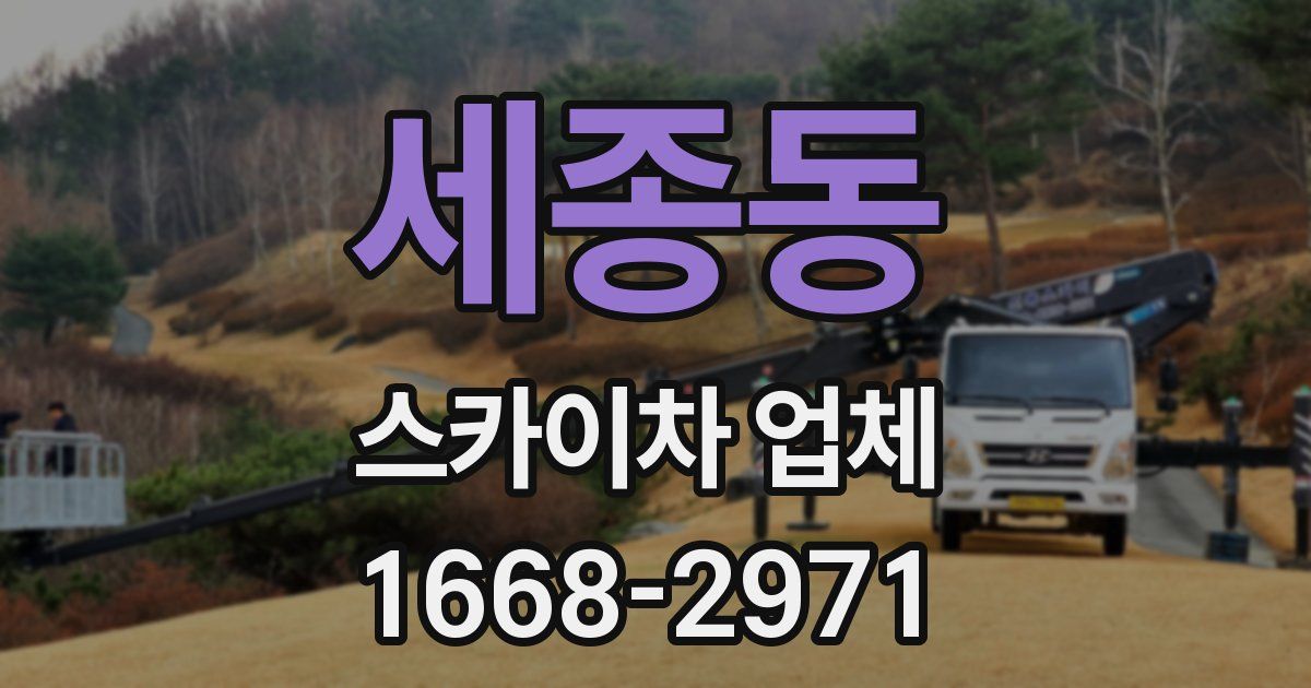 세종동 스카이차 업체