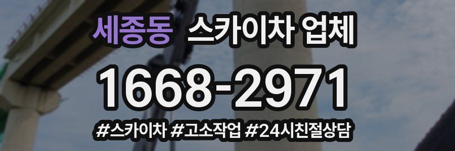 세종동 스카이차 업체