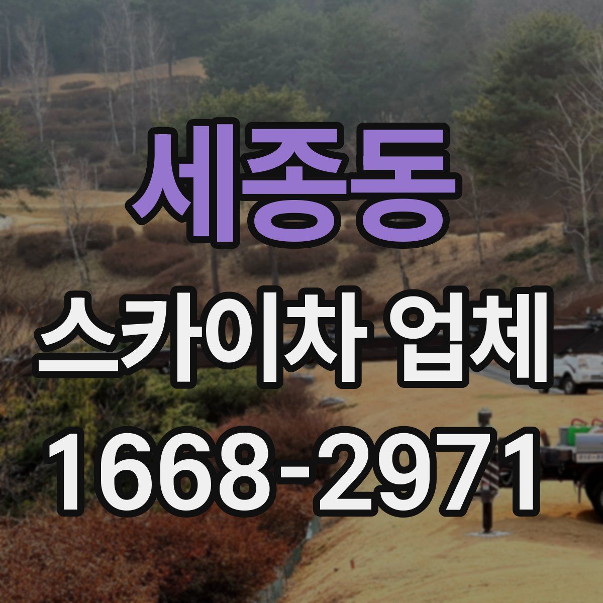 세종동 스카이차 업체