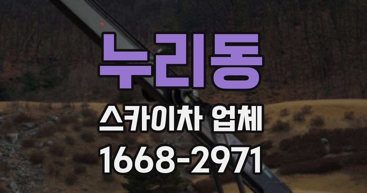 누리동 스카이차 업체