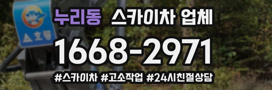 누리동 스카이차 업체