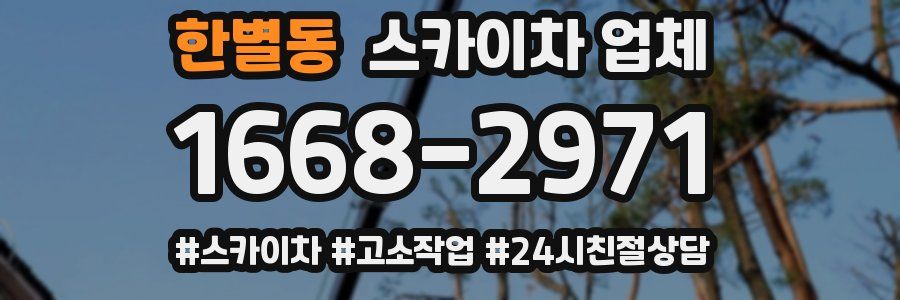 한별동 스카이차 업체