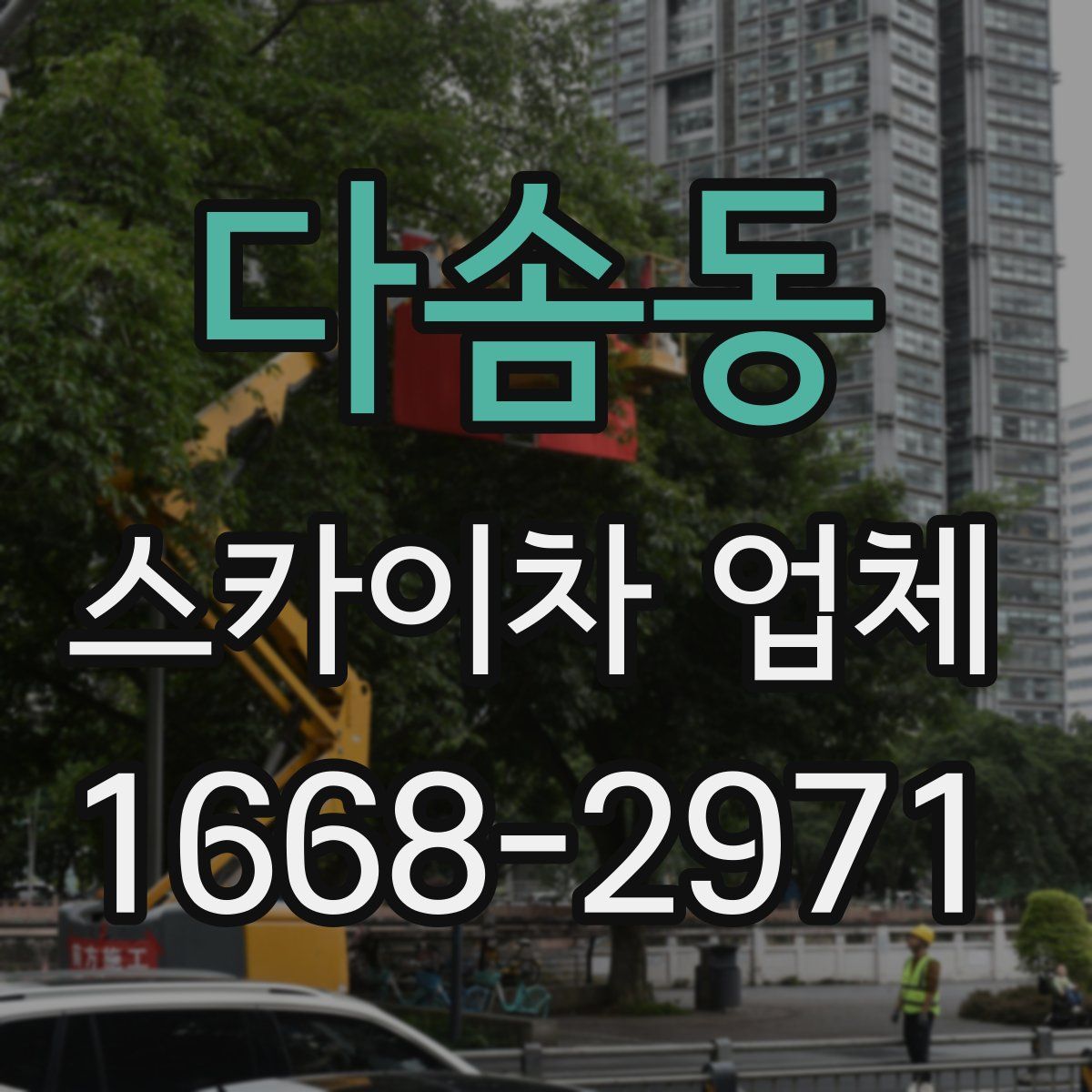 다솜동 스카이차 업체