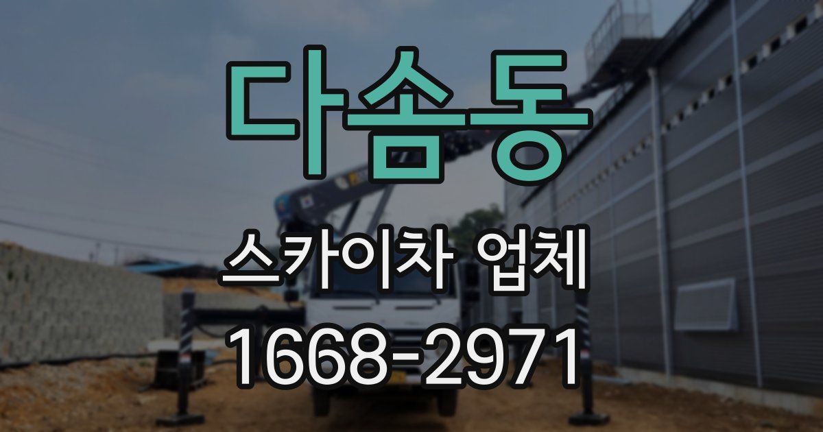 다솜동 스카이차 업체