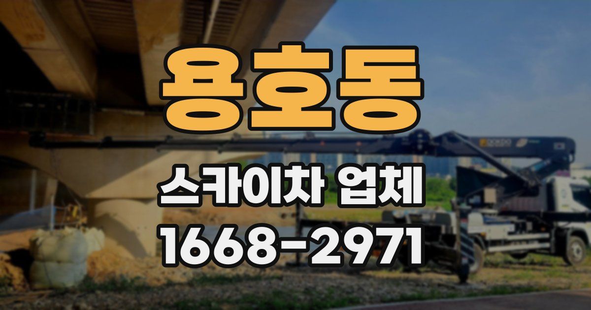 용호동 스카이차 업체