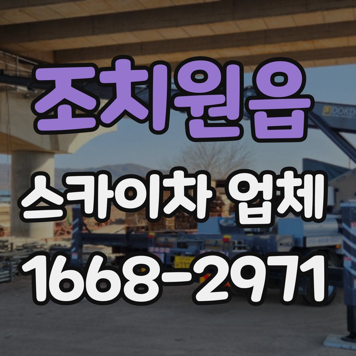 조치원읍 스카이차 업체