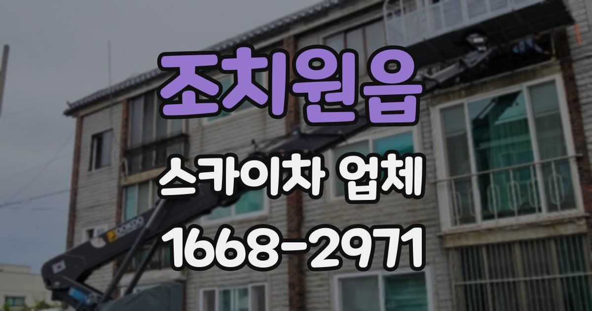 조치원읍 스카이차 업체