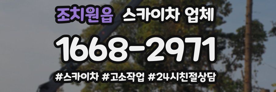 조치원읍 스카이차 업체