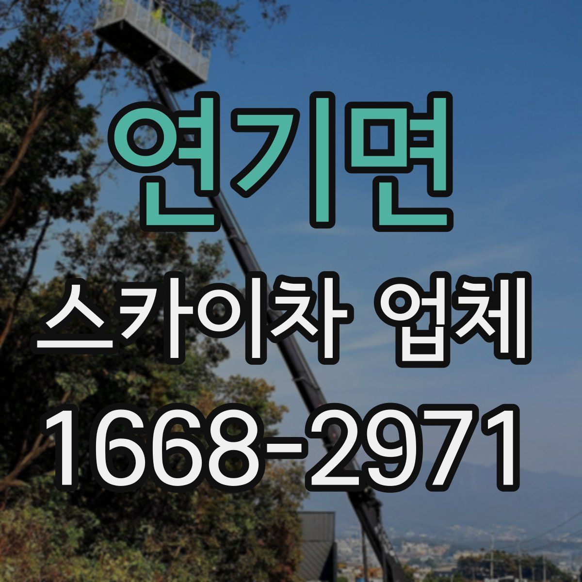연기면 스카이차 업체