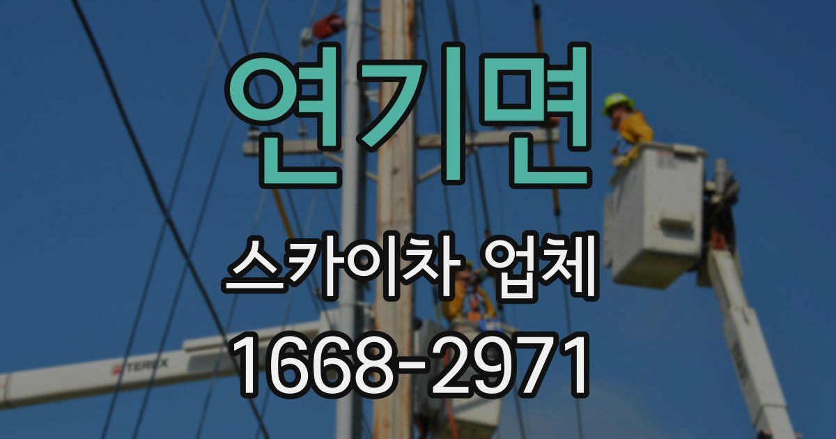 연기면 스카이차 업체
