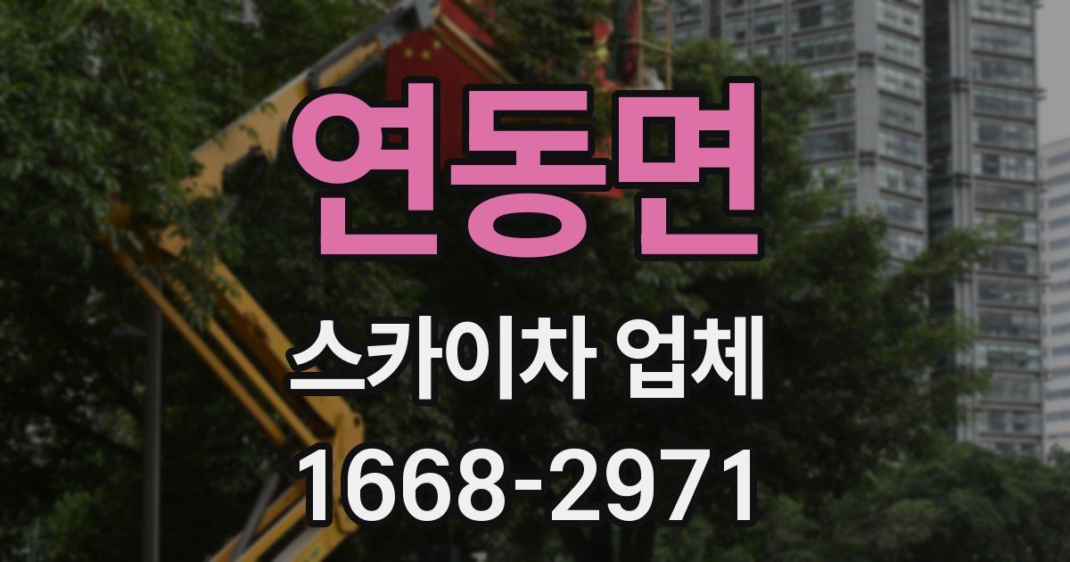 연동면 스카이차 업체