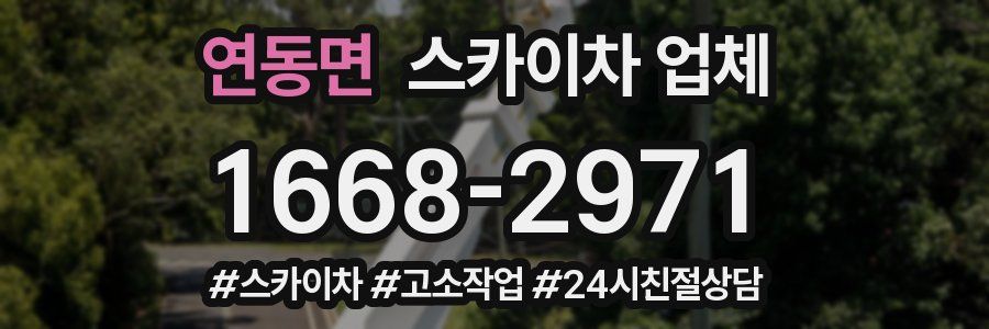 연동면 스카이차 업체