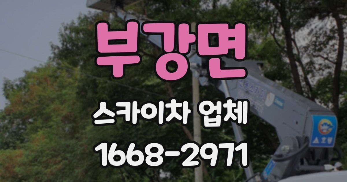부강면 스카이차 업체