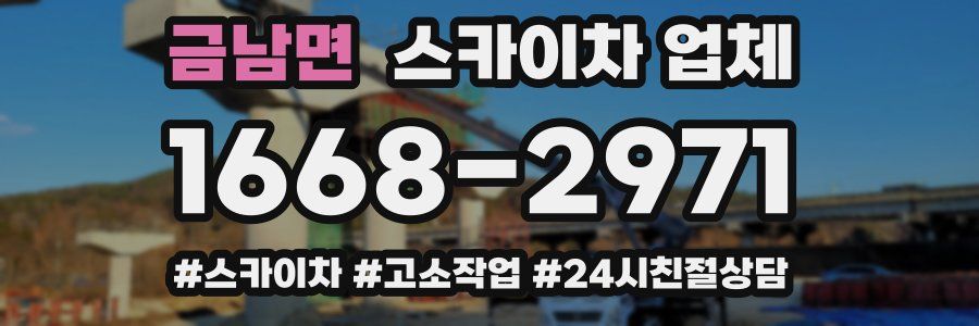 금남면 스카이차 업체