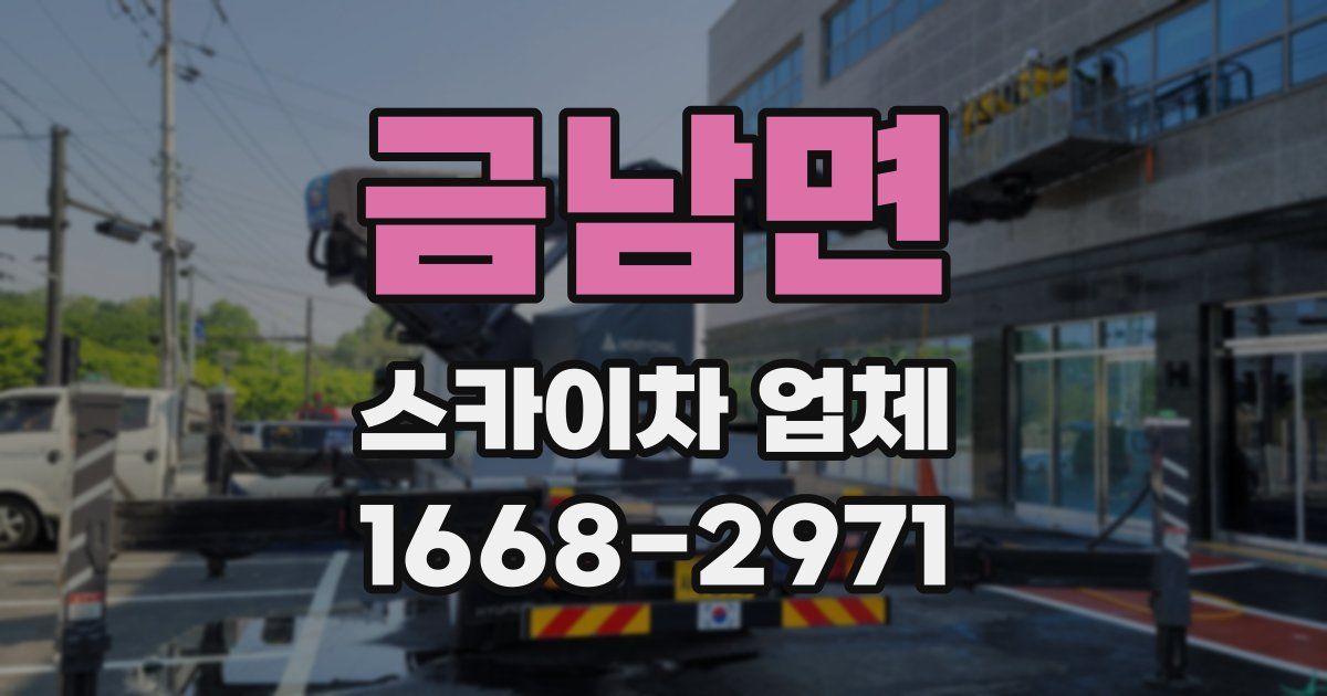 금남면 스카이차 업체