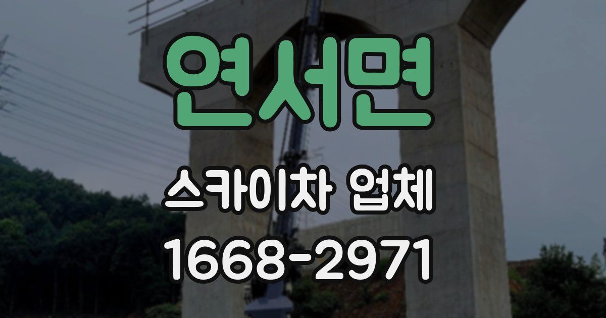 연서면 스카이차 업체