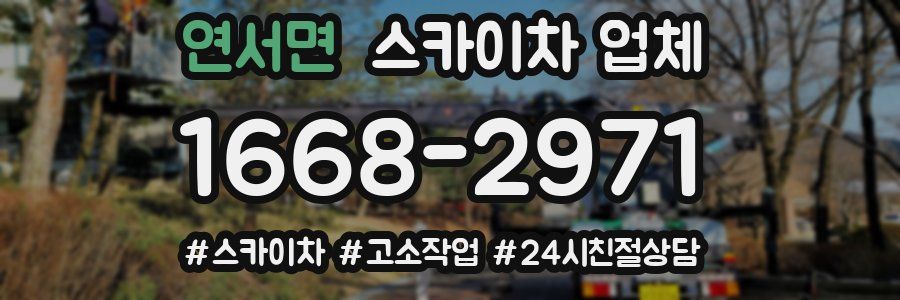 연서면 스카이차 업체