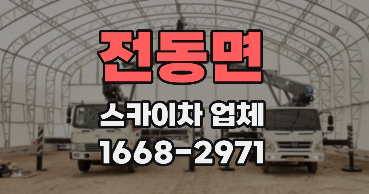 전동면 스카이차 업체