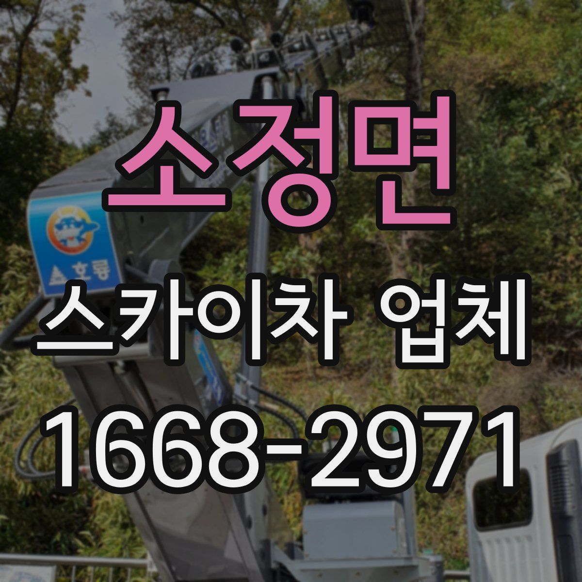 소정면 스카이차 업체
