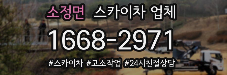소정면 스카이차 업체