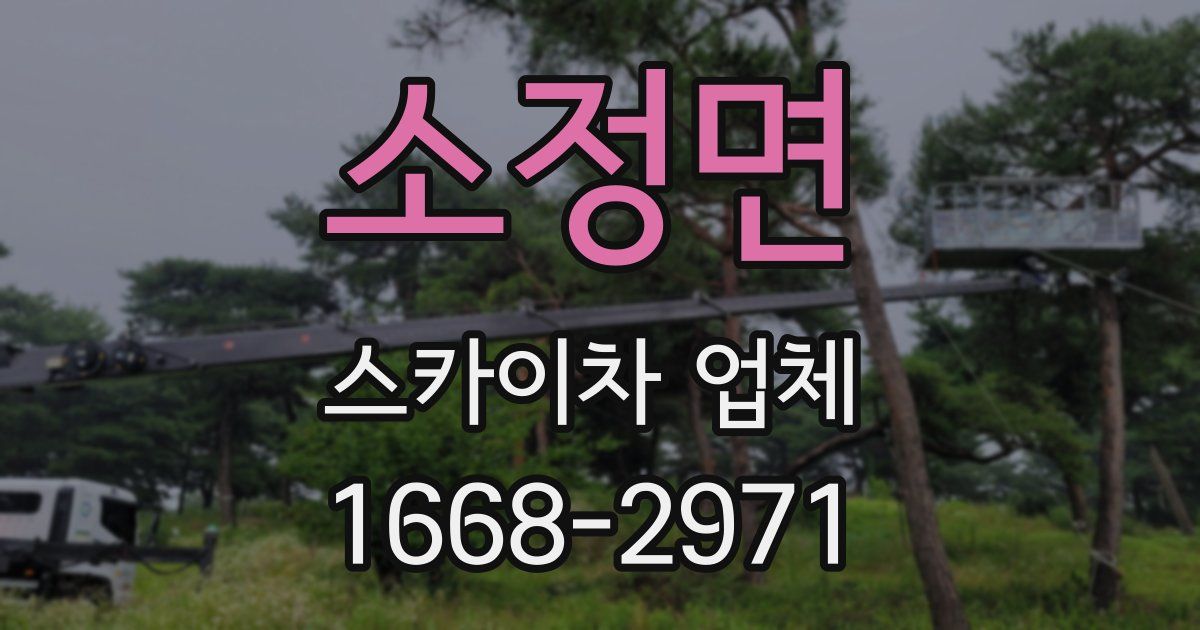 소정면 스카이차 업체
