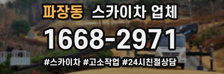 파장동 스카이차 업체