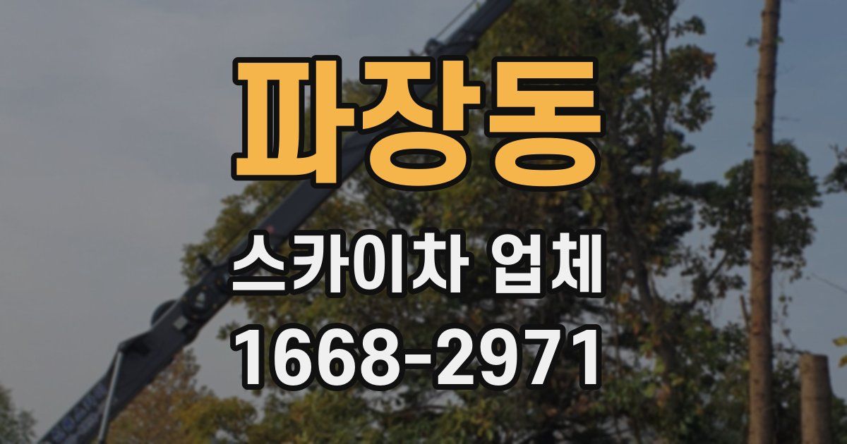 파장동 스카이차 업체