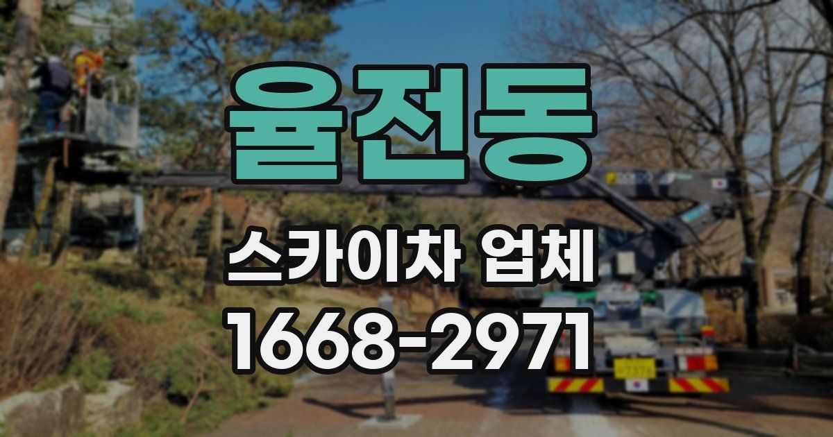 율전동 스카이차 업체