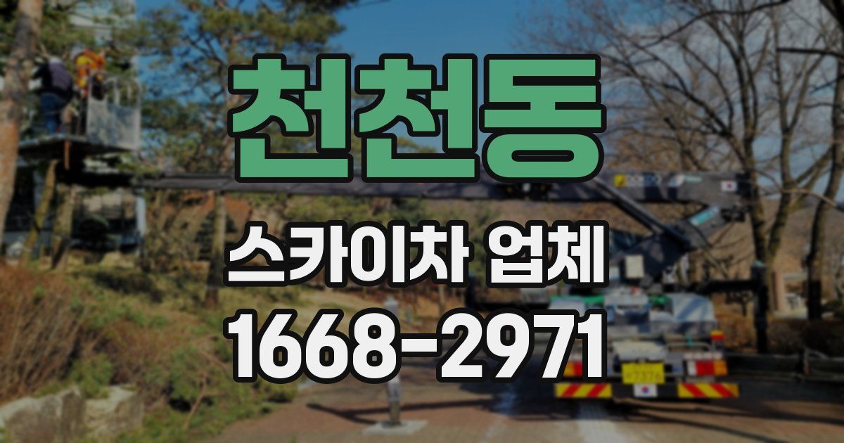 천천동 스카이차 업체