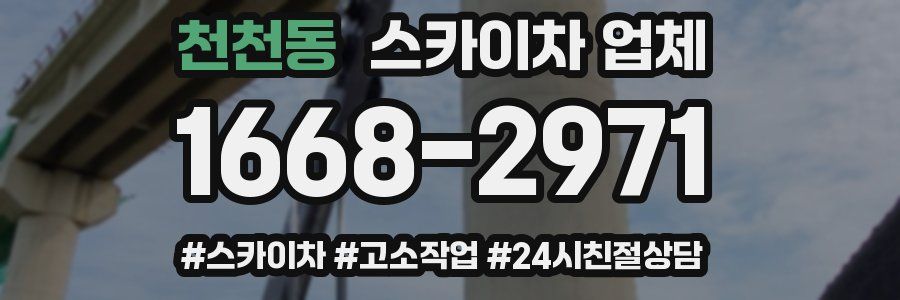 천천동 스카이차 업체
