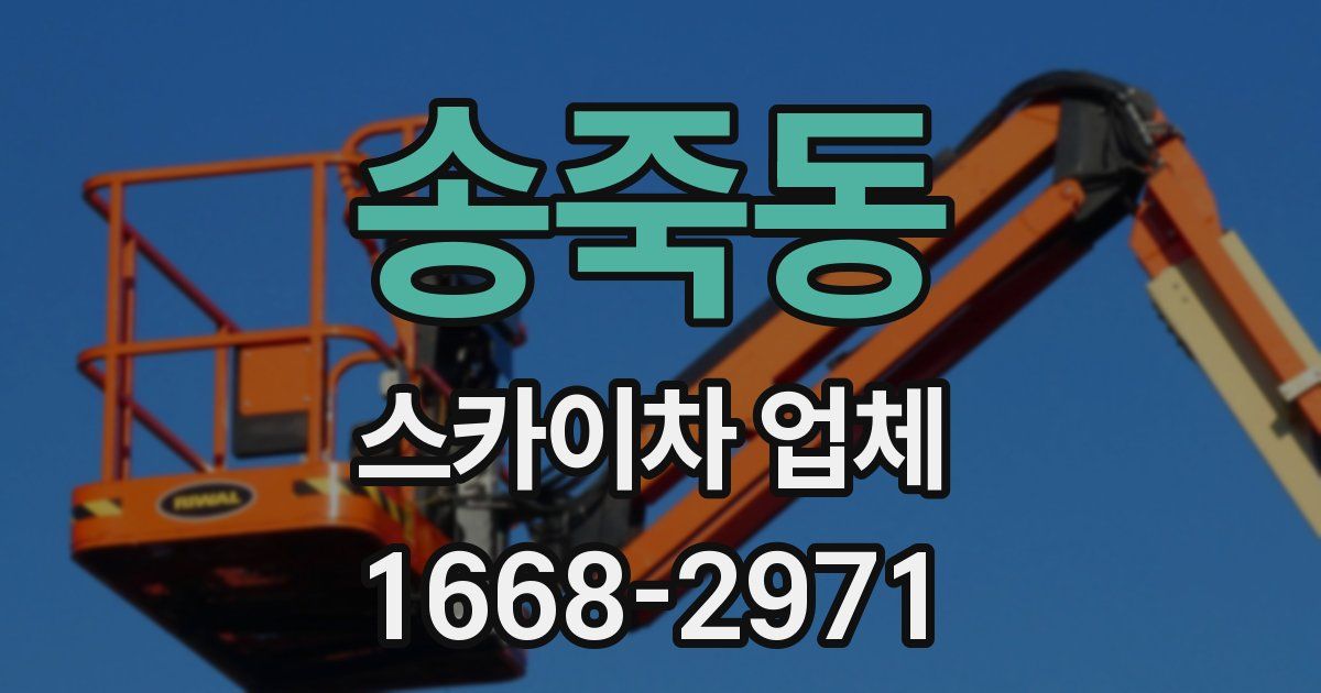 송죽동 스카이차 업체