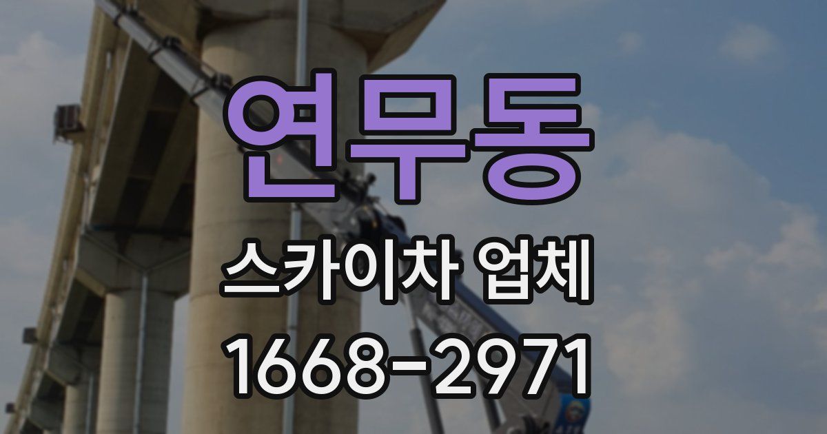 연무동 스카이차 업체