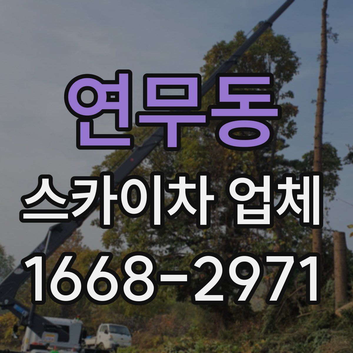연무동 스카이차 업체