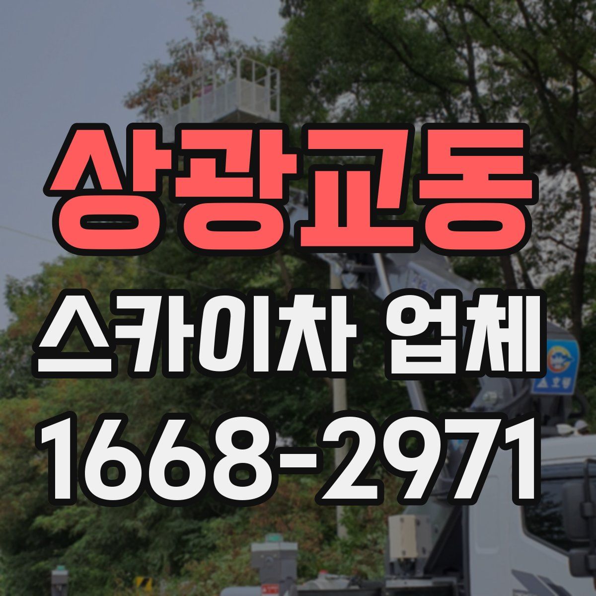 상광교동 스카이차 업체