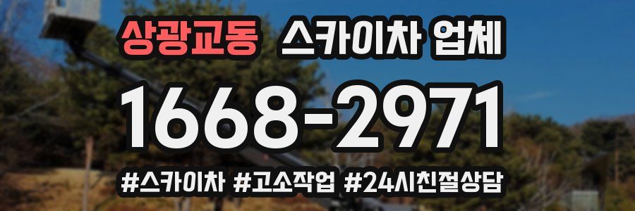 상광교동 스카이차 업체