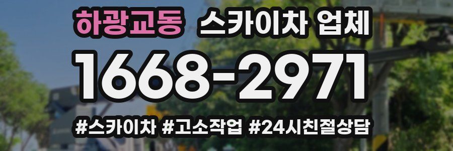 하광교동 스카이차 업체